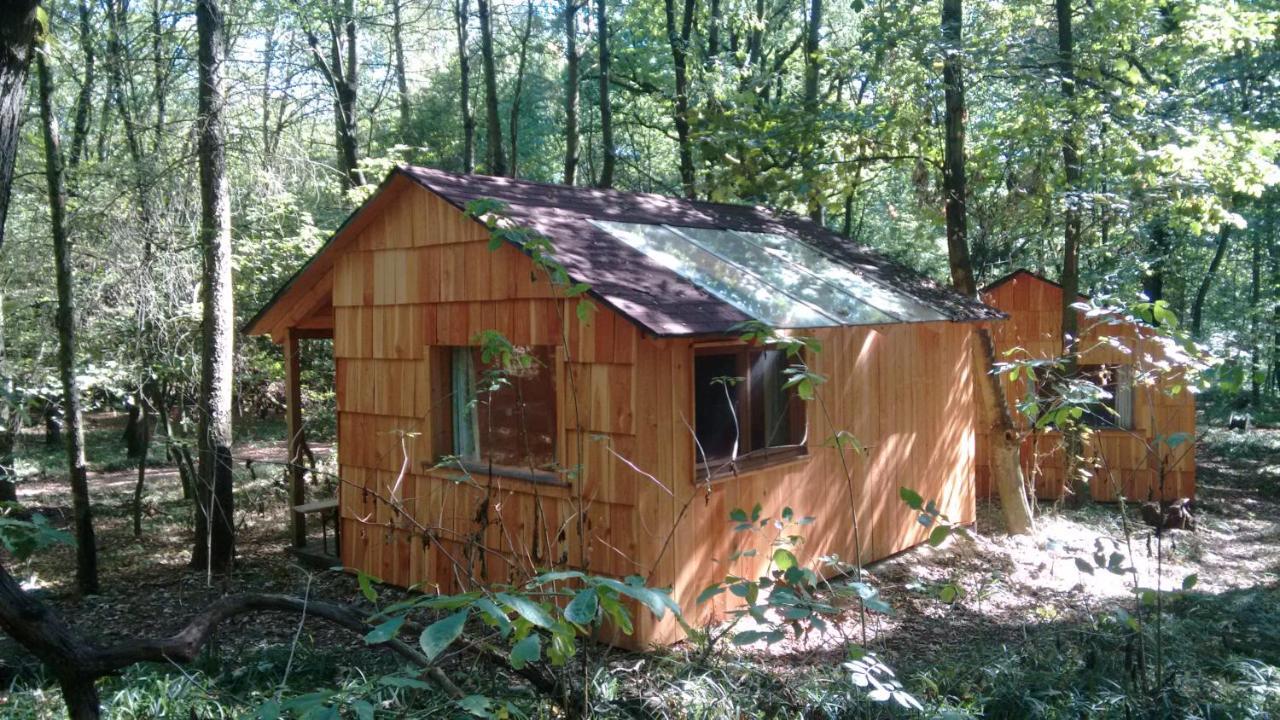 Ochys Waldfreizeitpark Villa Oberkreuzstetten Exteriör bild